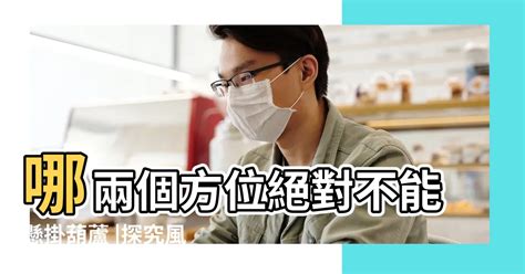 葫蘆要開口嗎|葫蘆在家居風水裡有什麼作用？該擺放在什麼位置？ – 行到水窮處。